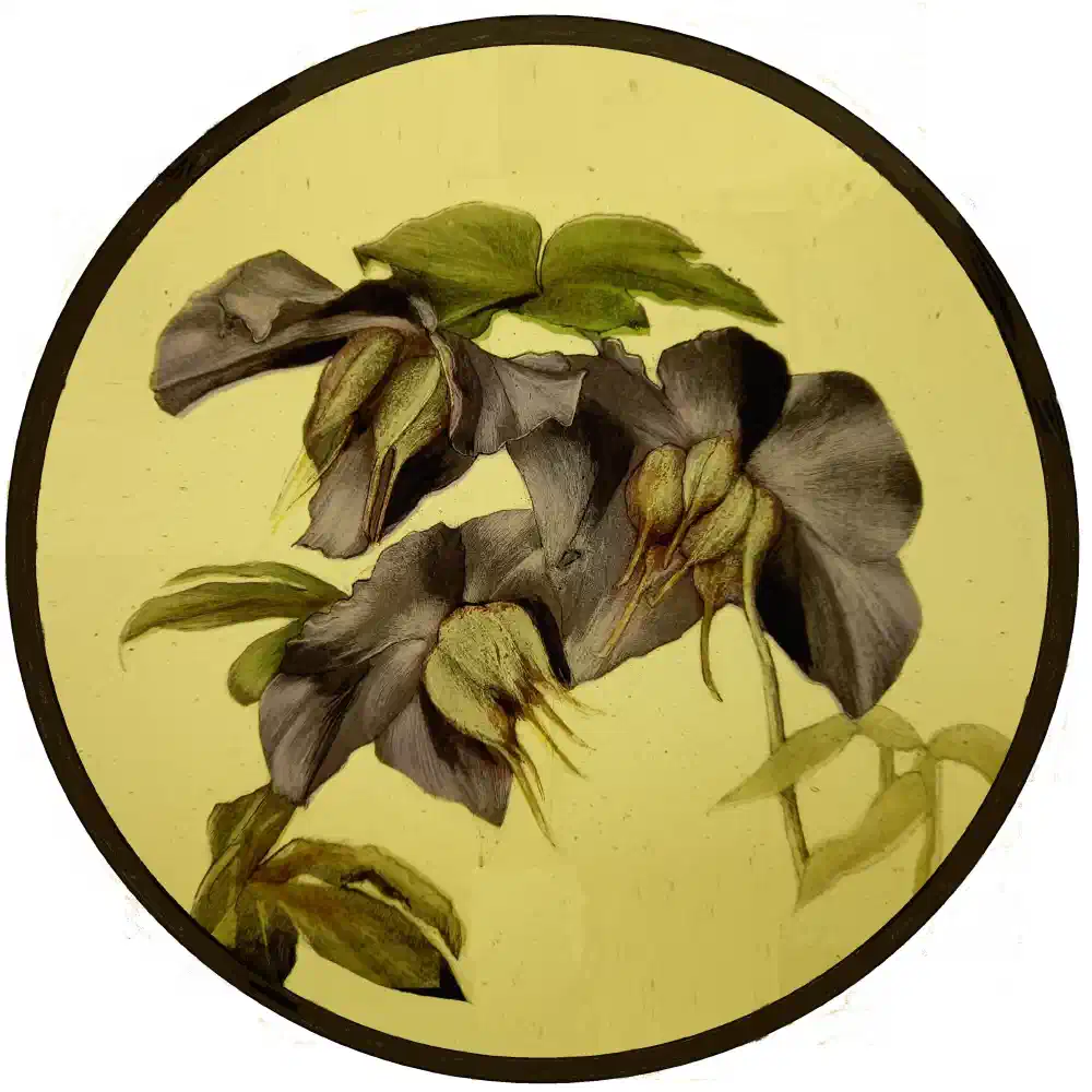 Decorative Pieces