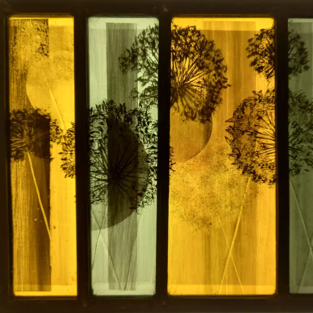 Seedheads — stained glass by Ginkgo Glass